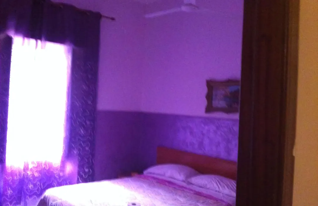 Hotel Viola-1